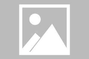 九游娱乐-张帅组合获得WTA500林茨站双打冠军|科斯蒂亚|马列科娃|隔网|搭档|迈阿密